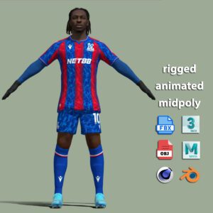 T-Pose Rigged Eberechi Eze Crystal Palace 24-25