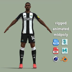 T-Pose Rigged Alexander Isak Newcastle 24-25