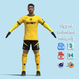 T-P Rigged Hwang Hee-chan Wolverhampton 24-25