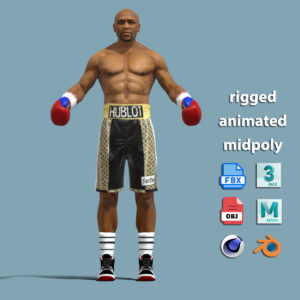 T-Pose Rigged Mayweather