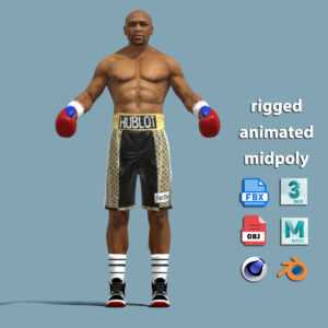 T-Pose Rigged Mayweather