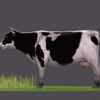 3D Rigged Cow Animation
