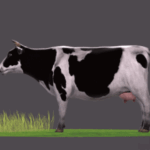 3D Rigged Cow Animation
