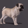 3D Rigged Dog Animation