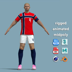 A-Pose Rigged Erling Haaland Norway 2026
